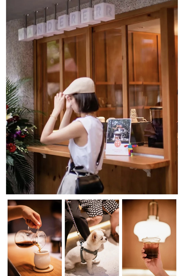 WANDERER Shanghai community coffee shop feature photo